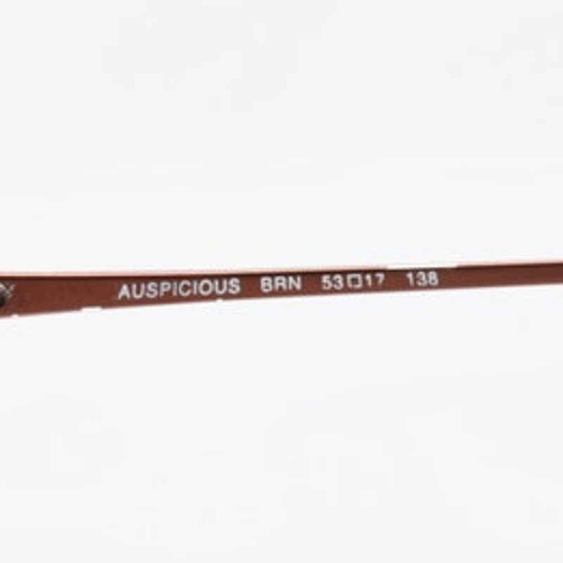 Christie Brinkley Auspicious BRN 53-17-138 Eyeglass FRAMES ONLY - GOOD CONDITION