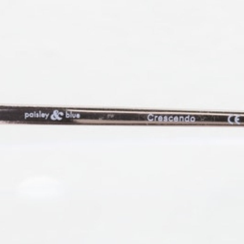 Paisley & Blue Crescendo INK blue/bronze eyeglass frames, photo 7 of 8