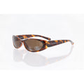 Steve Madden S169 TS Colors in Optics ltd. Sunglasses - NEW CONDITION